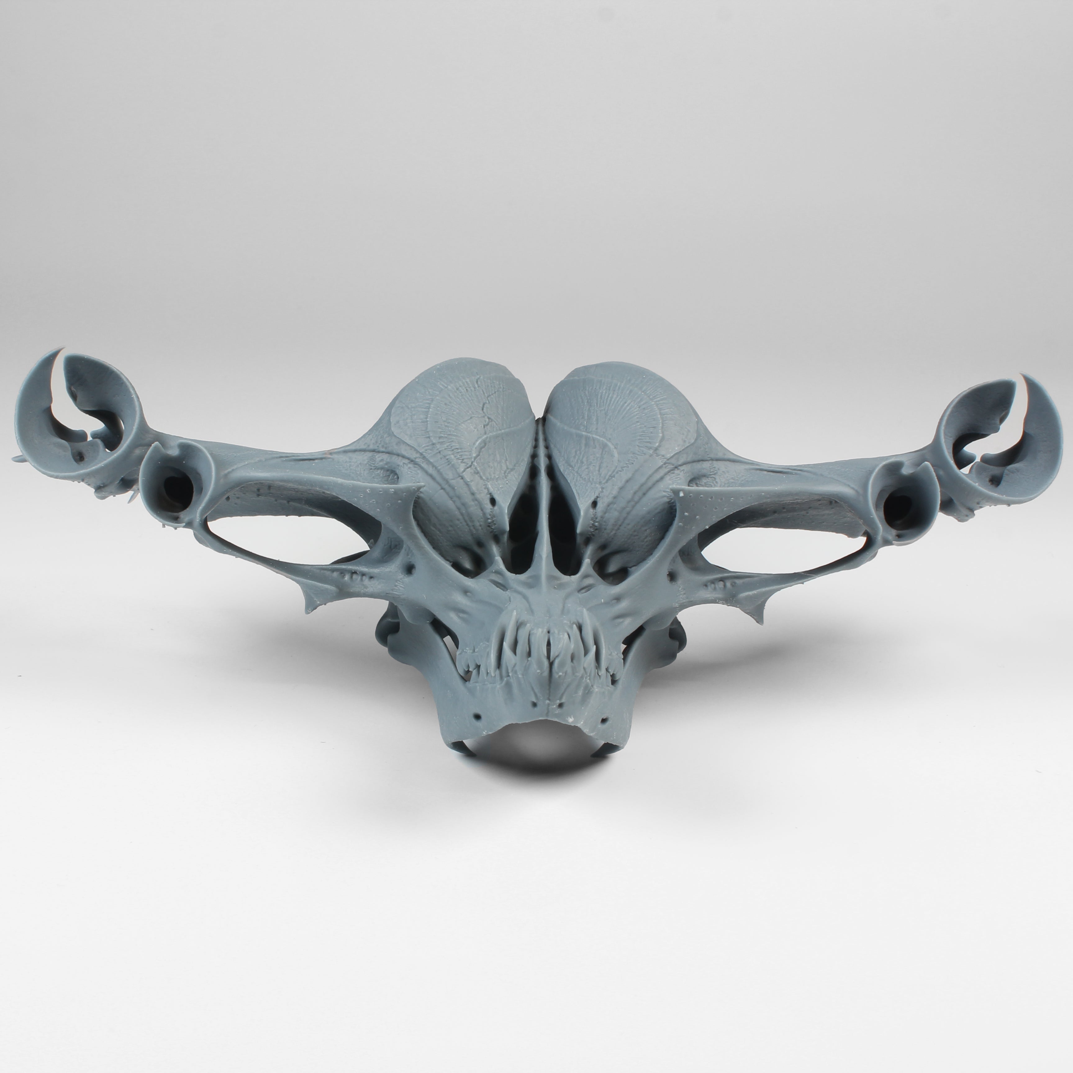 Alien Skull #2 (Bomber)