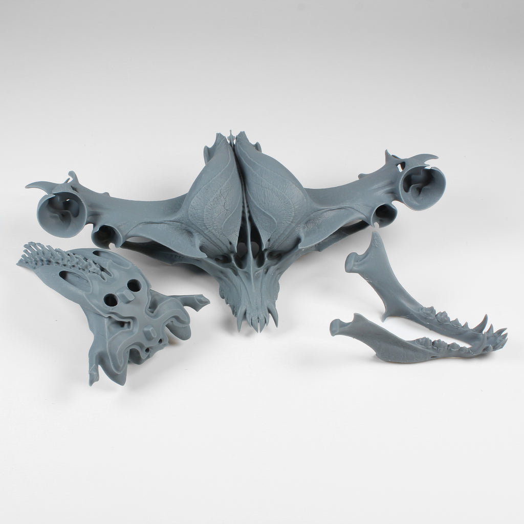 Alien Skull #2 (Bomber)