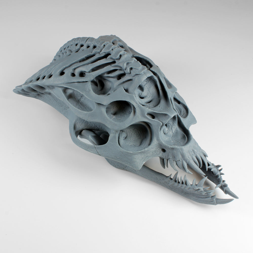 Alien Skull #4 (Bug)