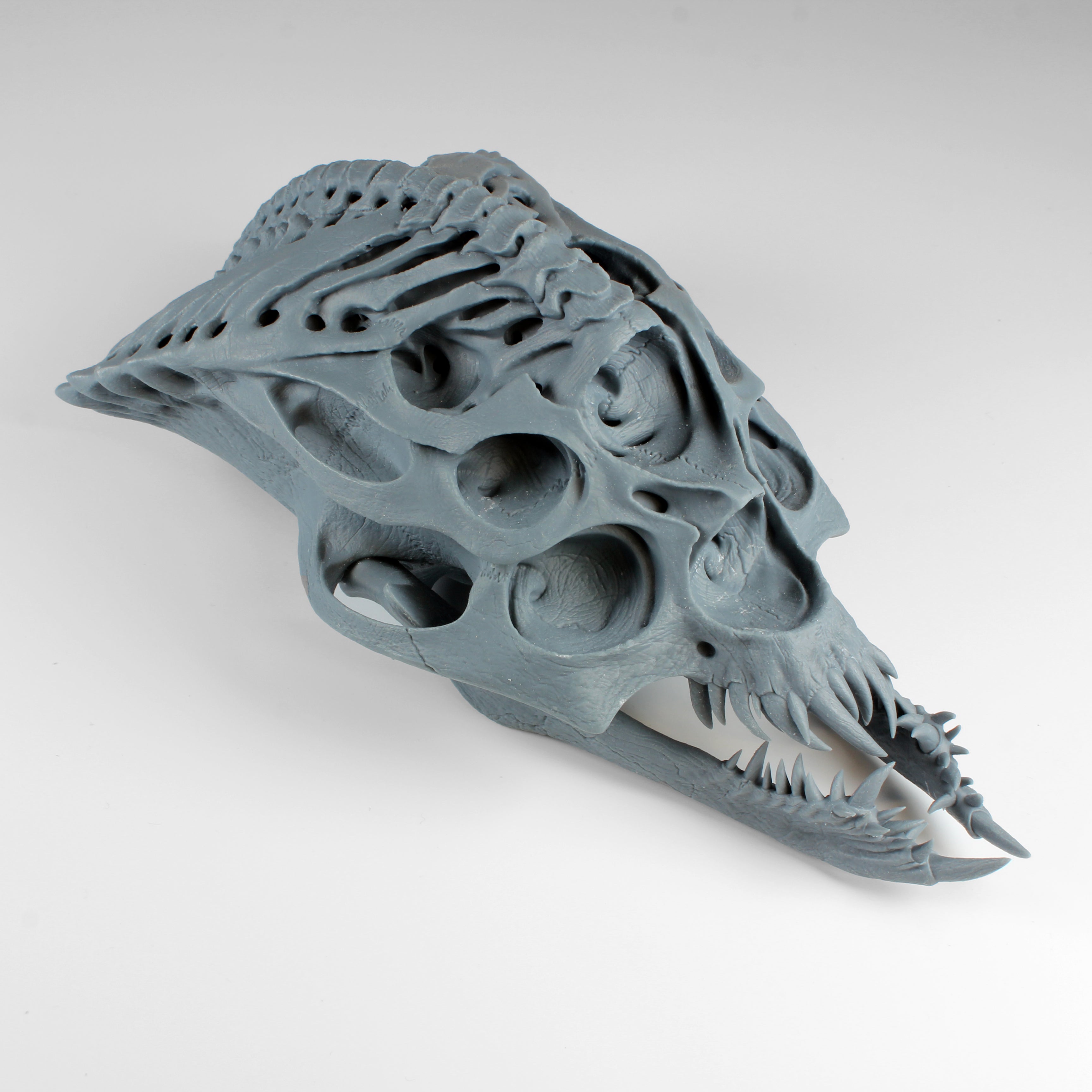 Alien Skull #4 (Bug)