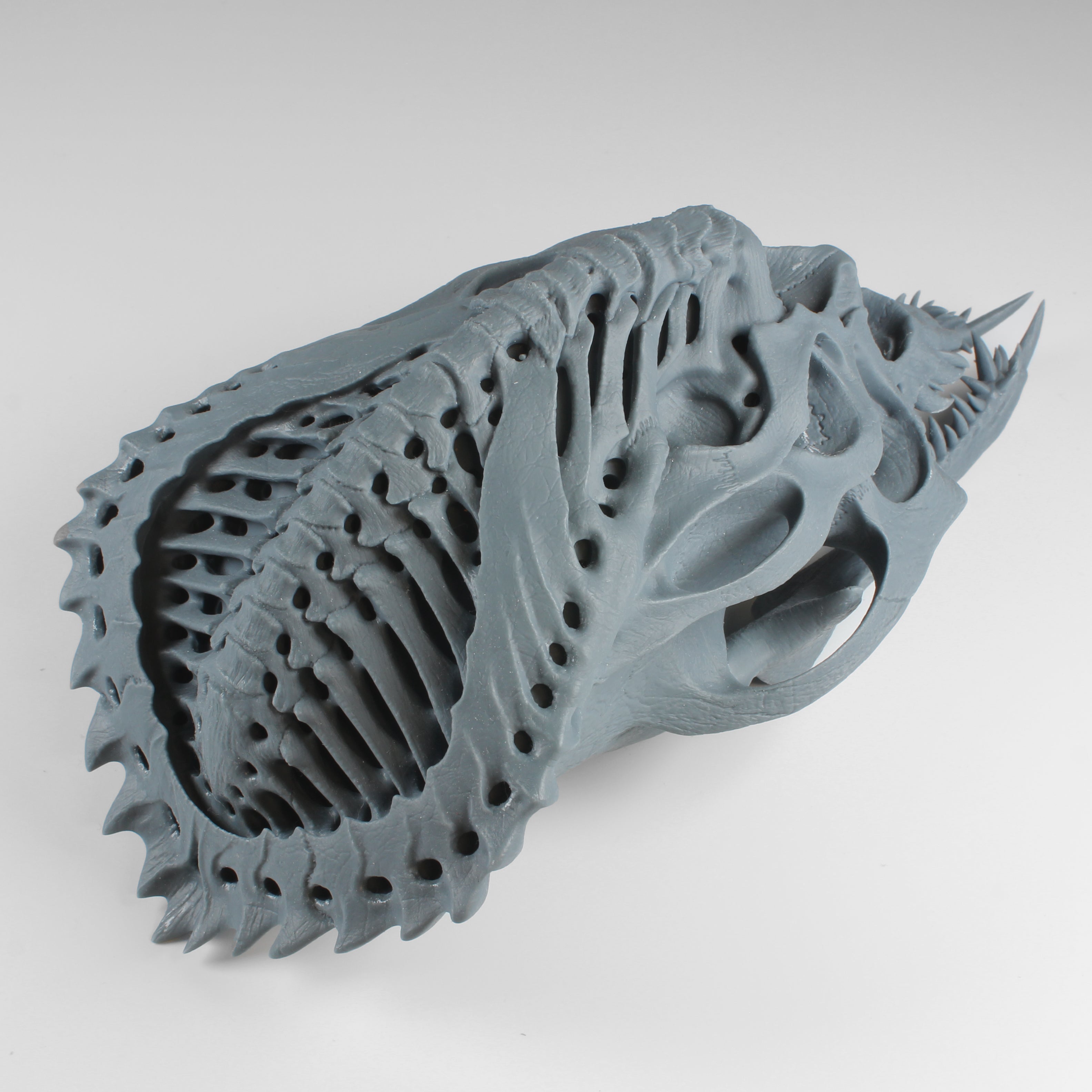 Alien Skull #4 (Bug)