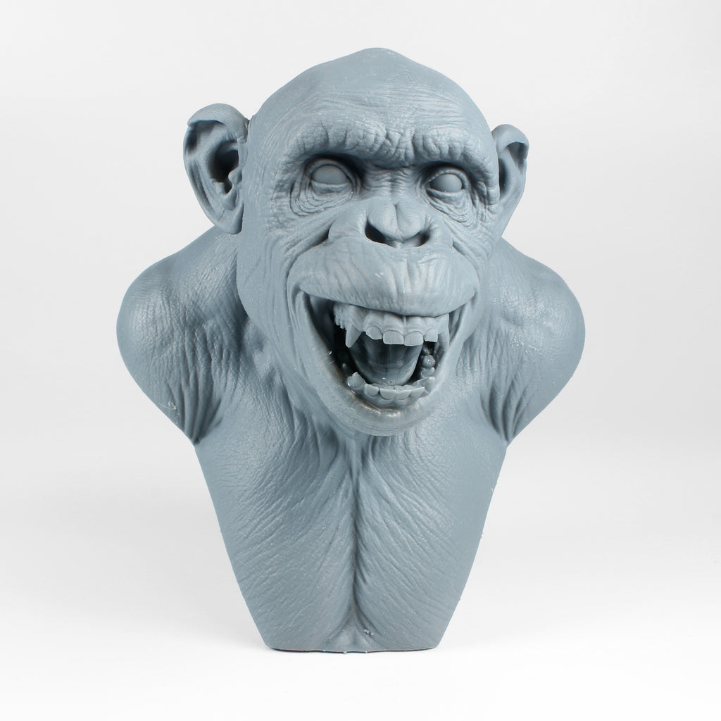 Chimp Bust