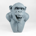 Chimp Bust