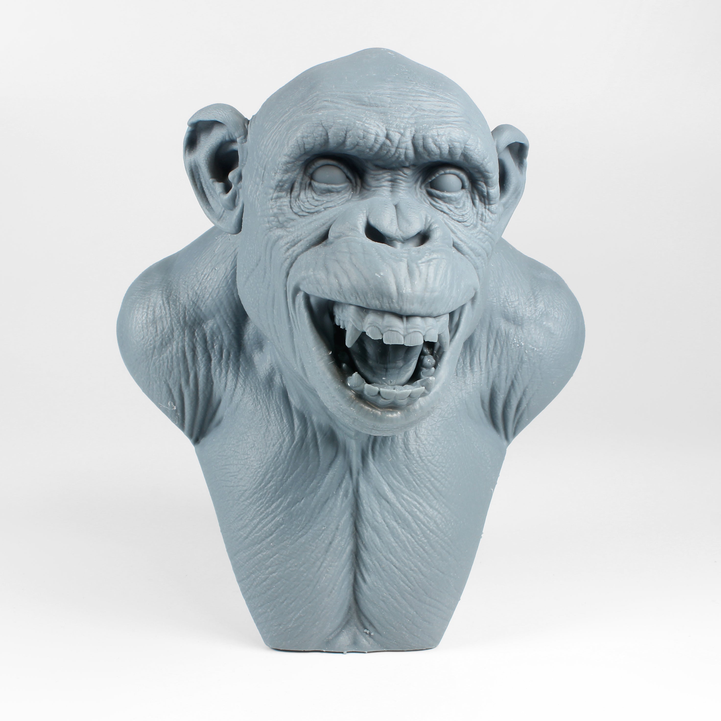 Chimp Bust