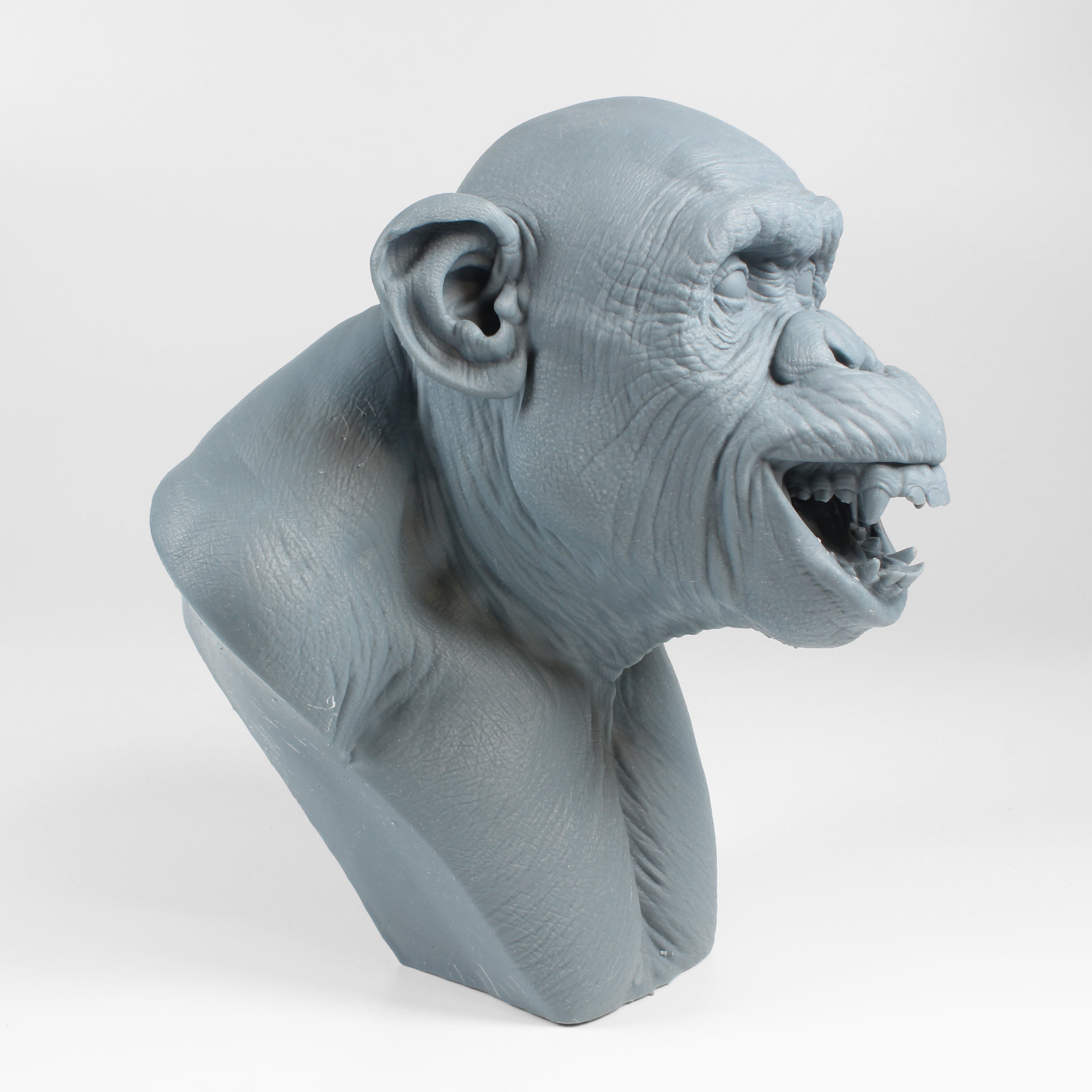 Chimp Bust