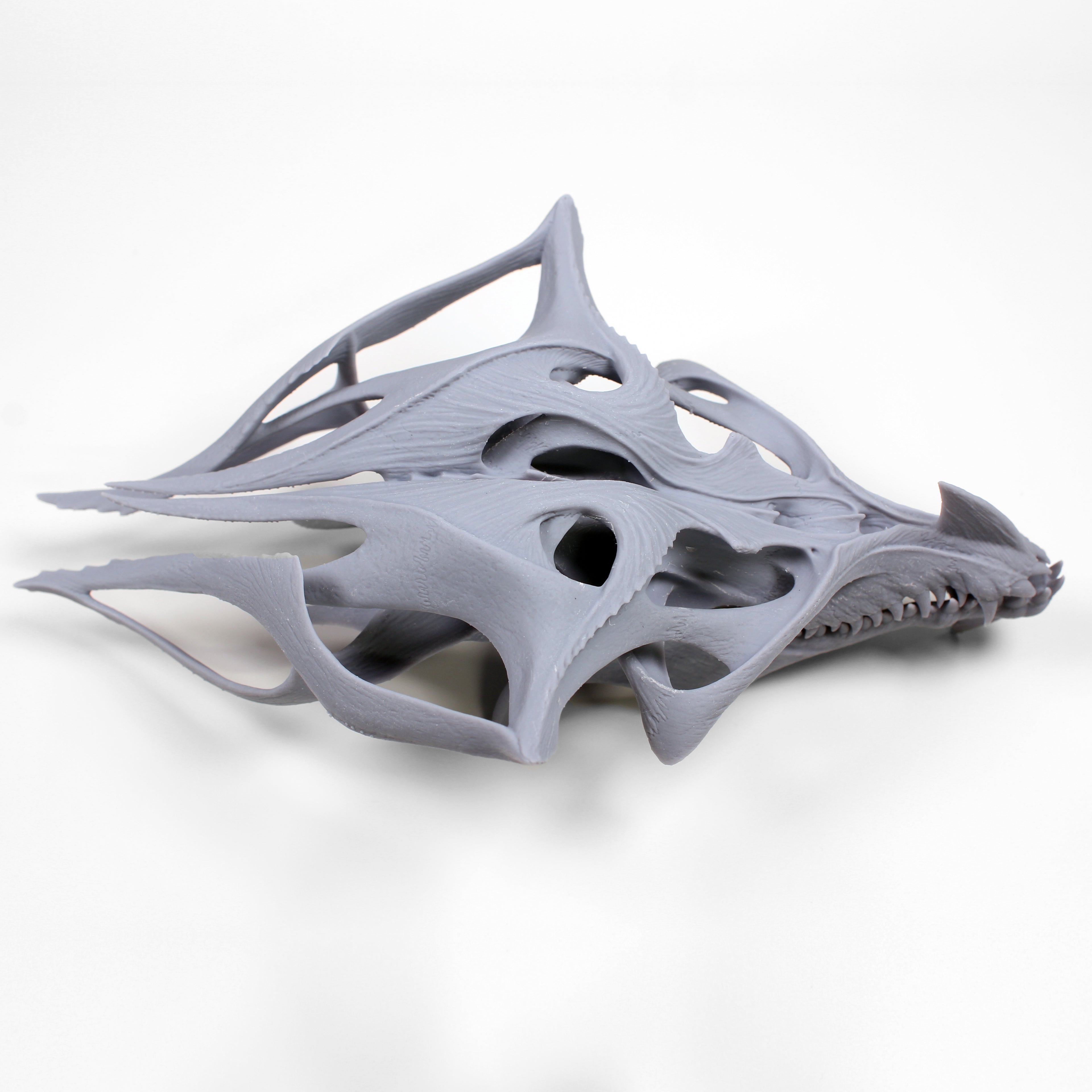 Alien Skull #3 (Dragon)