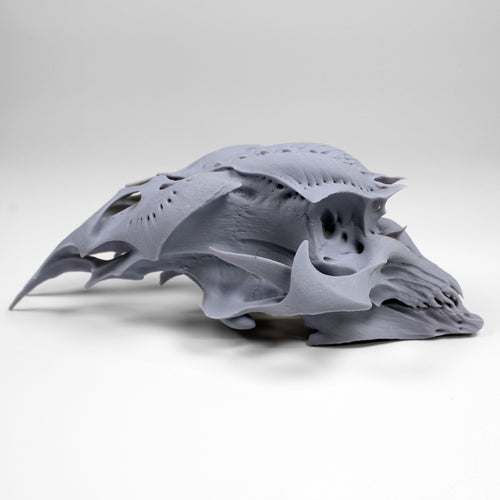 Alien Skull #1 (Sapien)