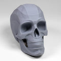 Planes of the Human Skull
