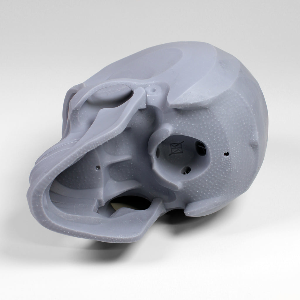 Planes of the Human Skull