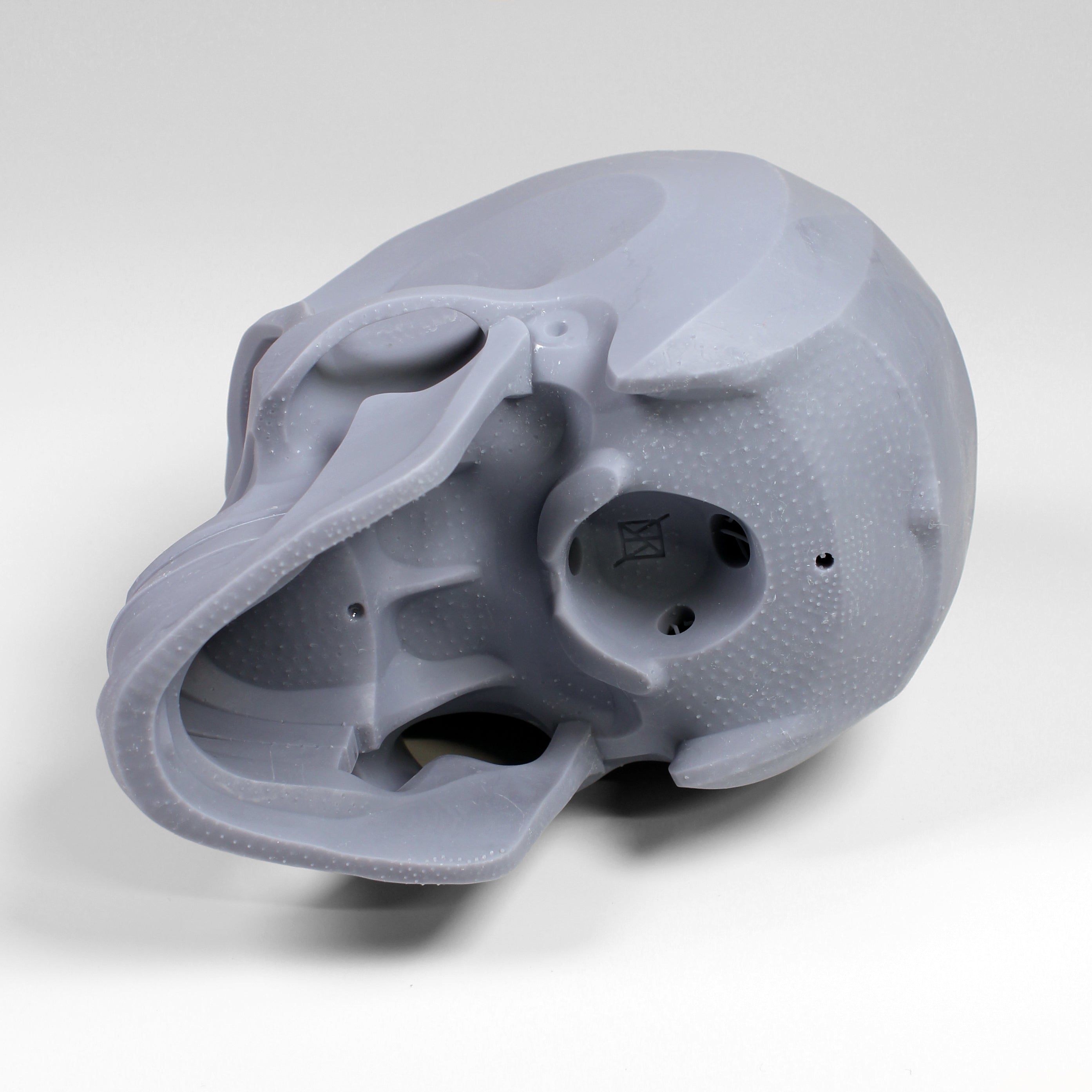 Planes of the Human Skull