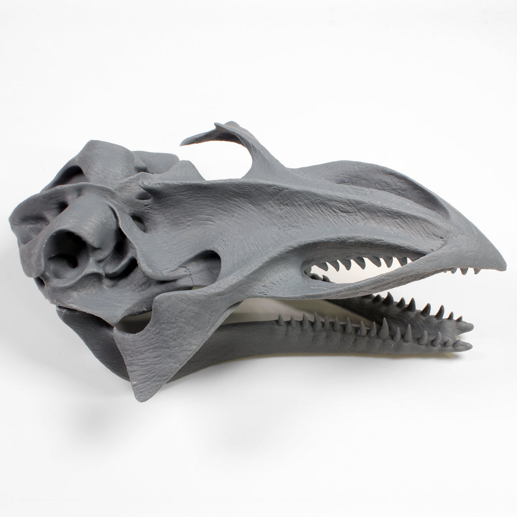 Alien Skull #5 (Whale)