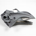 Alien Skull #5 (Whale)