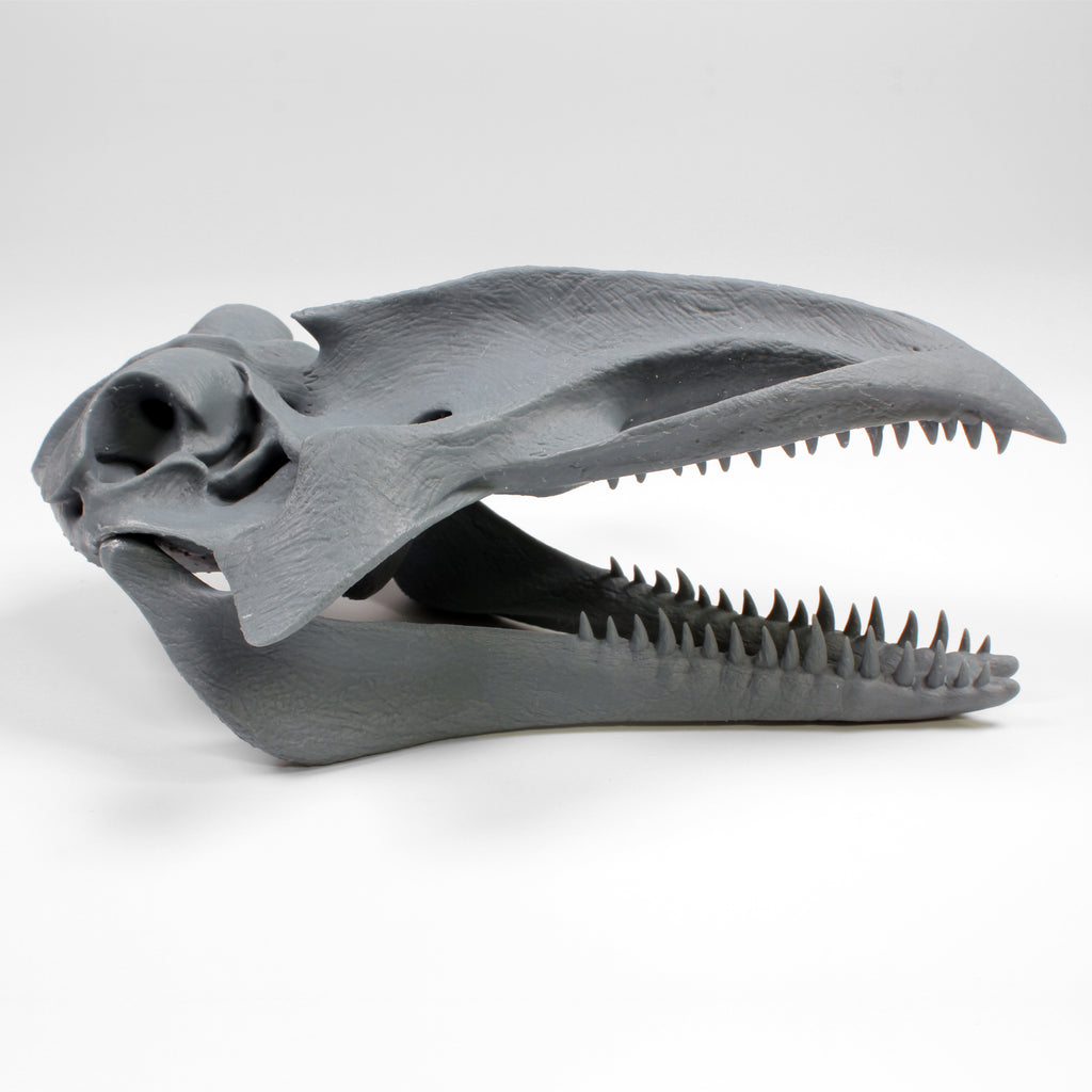 Alien Skull #5 (Whale)
