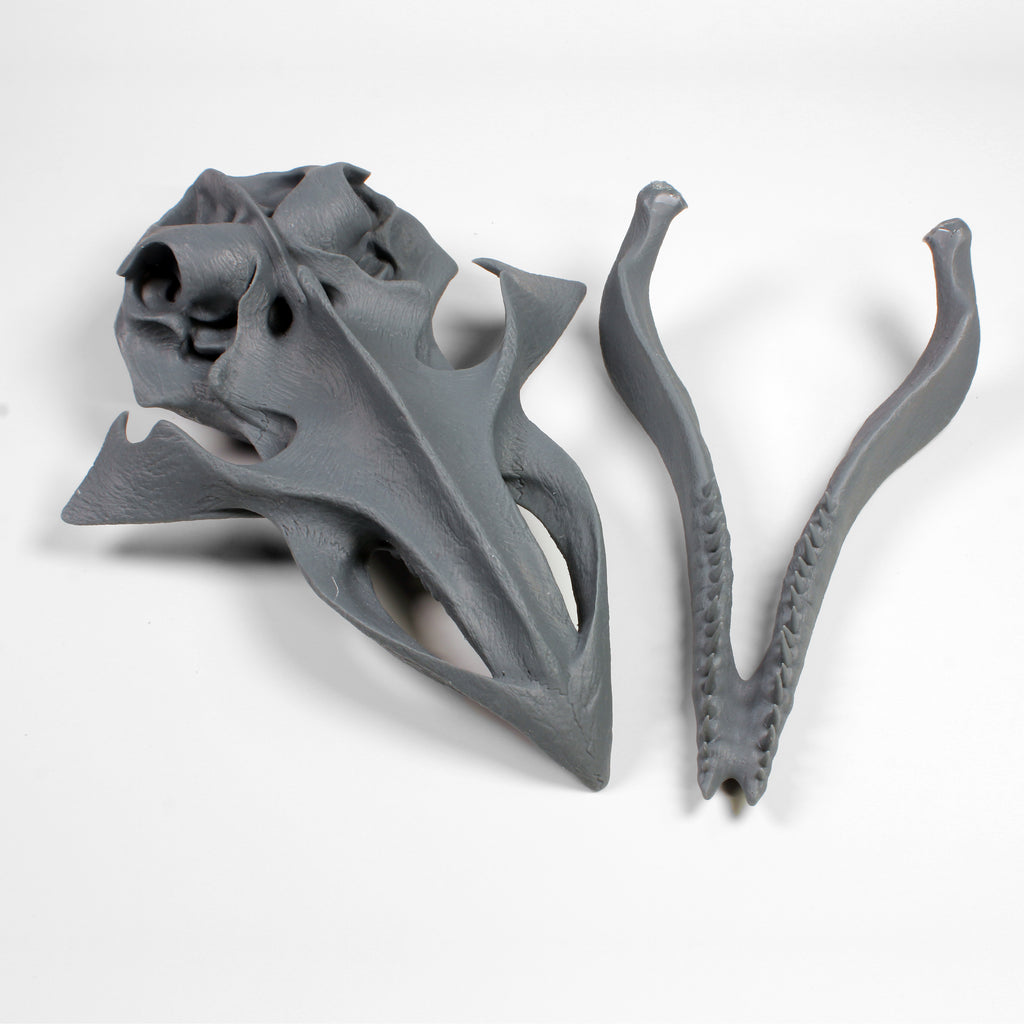 Alien Skull #5 (Whale)