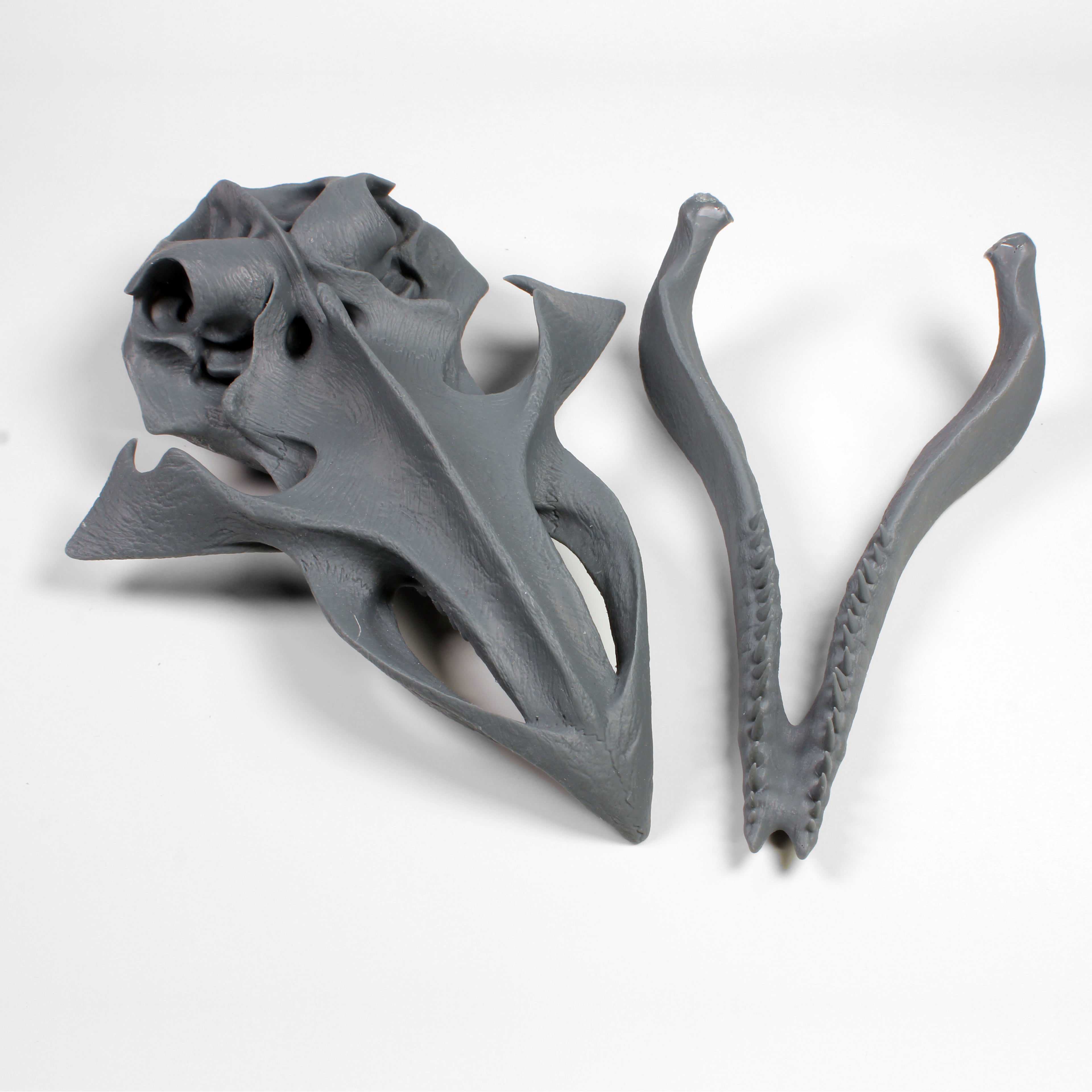 Alien Skull #5 (Whale)