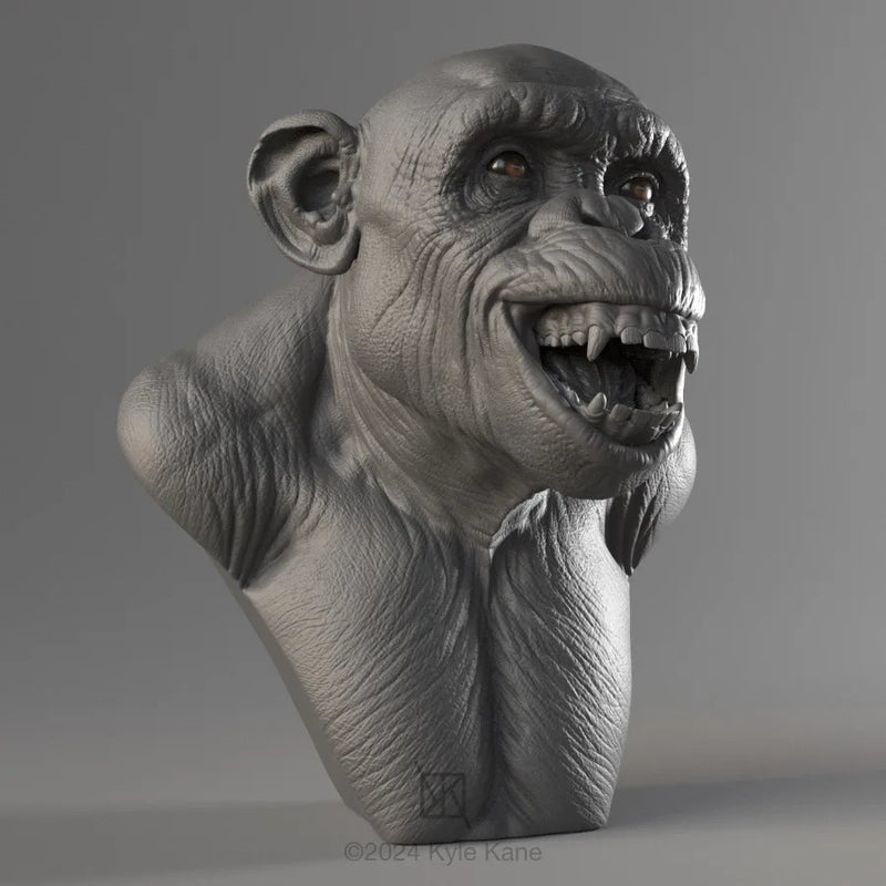 Chimp