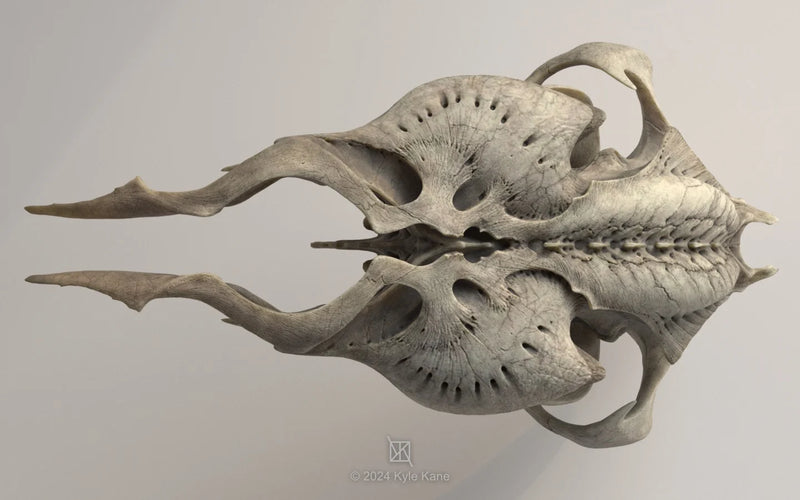 Alien Skull #1 "Sapien"