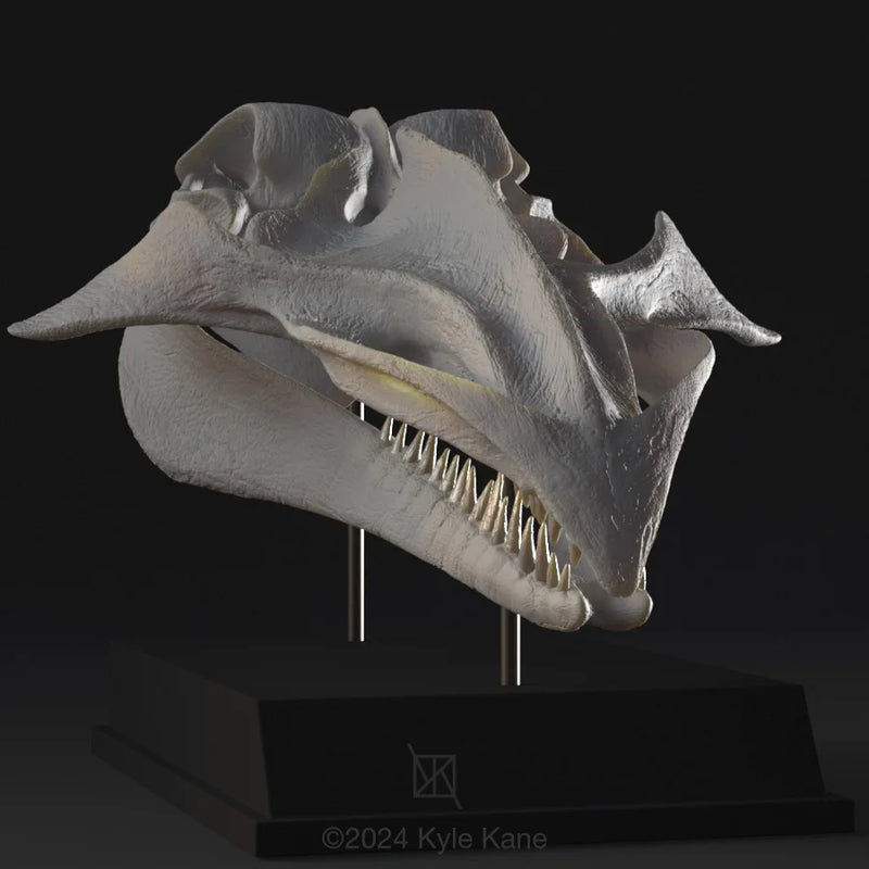 Alien Skull #5 "Whale"