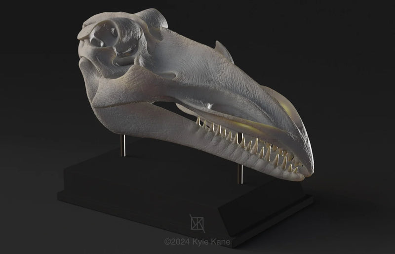 Alien Skull #5 "Whale"