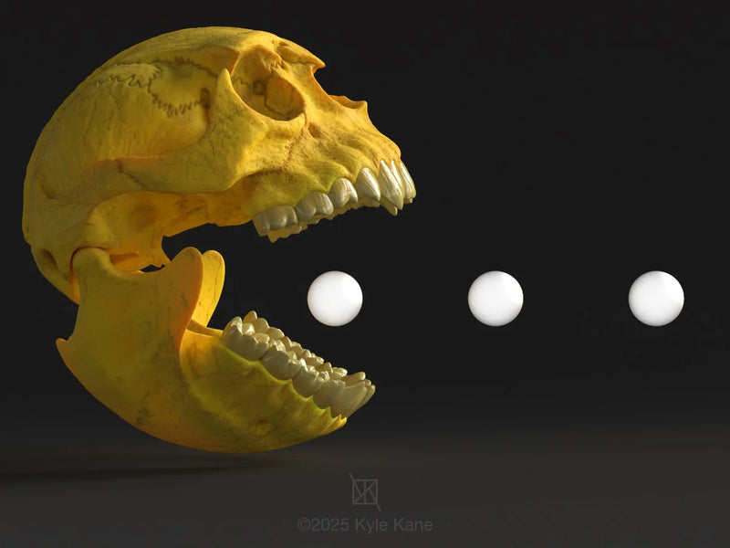 PacMan Skull