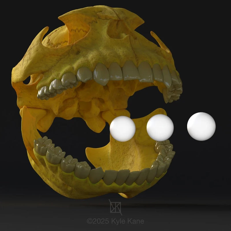 PacMan Skull